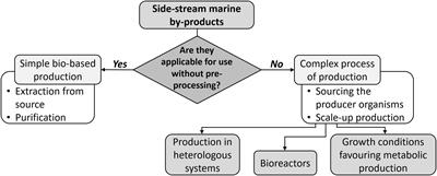 Valorization of Marine Waste: Use of Industrial By-Products and Beach Wrack Towards the Production of High Added-Value Products